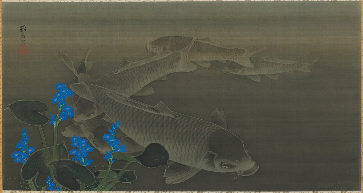 Karpfen, Edo-Zeit, frühes 19. Jahrhundert von Kuroda Toko