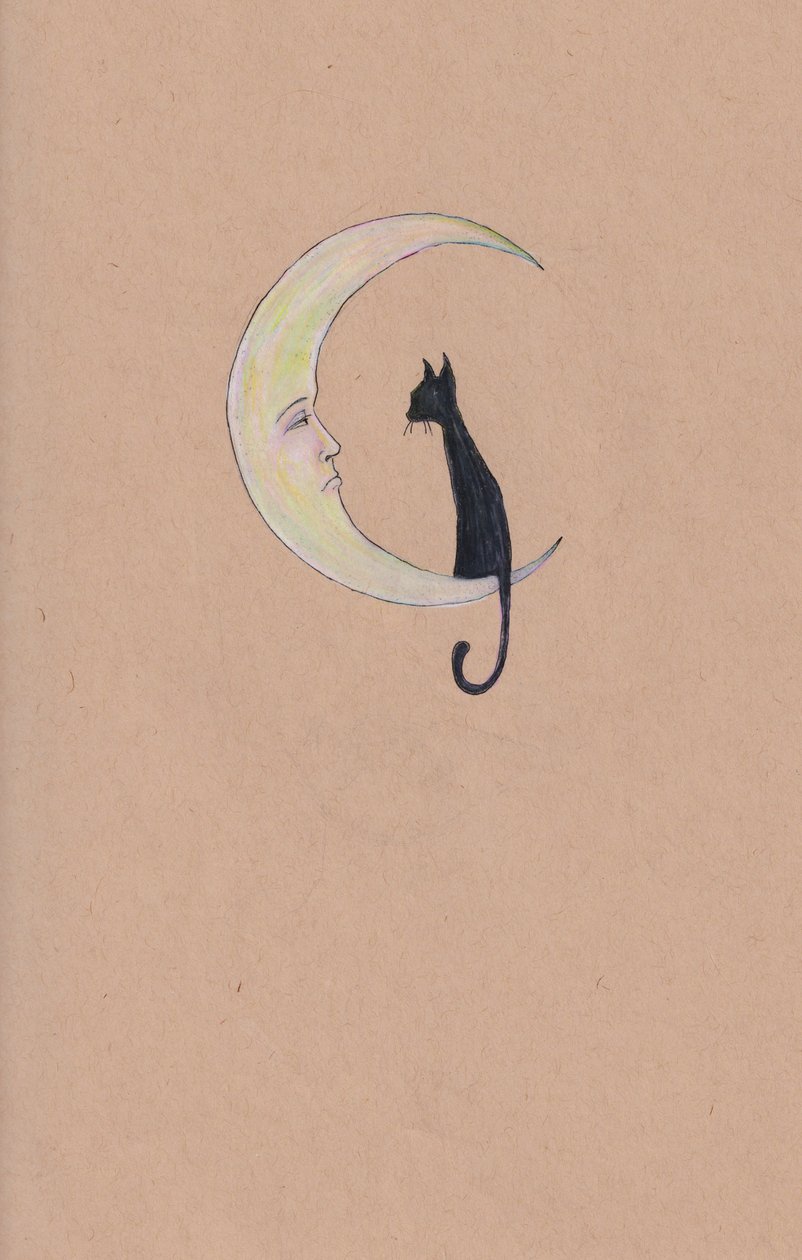 Mateo und der Mond von Laurie Michaels