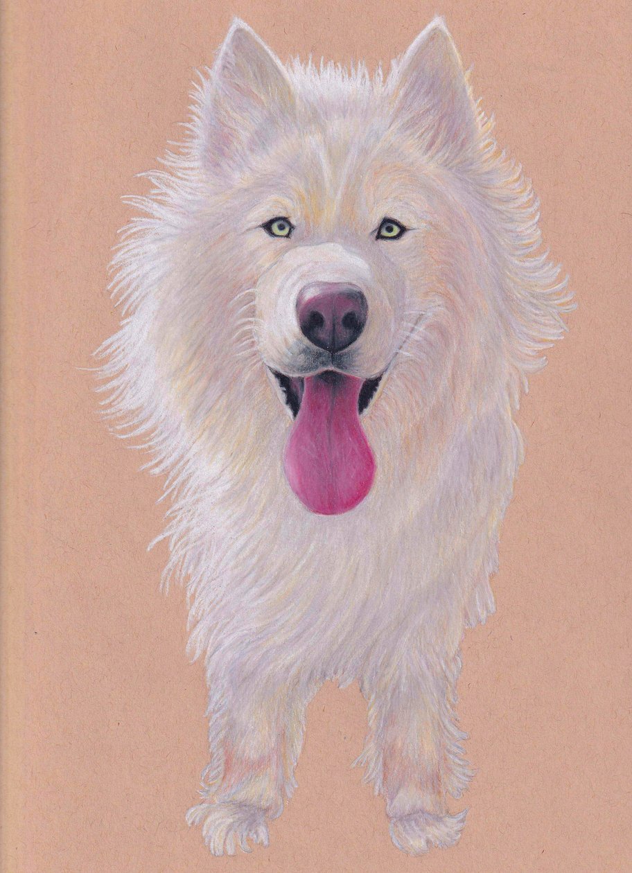 Snowky von Laurie Michaels