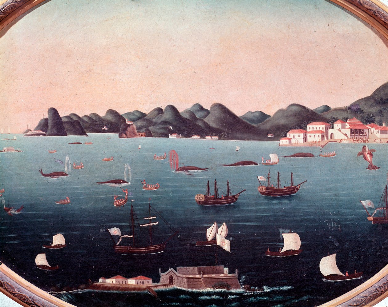 Walfang in der Bucht von Guanabara in Brasilien Aquarell von Leandro Joaquim 18. Jahrhundert Rio de Janeiro, Nationales Historisches Museum von Leandro Joachim