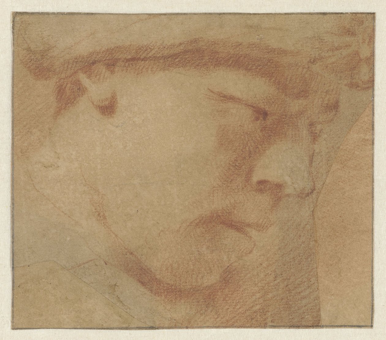 Kopf eines Jungen, nach rechts von Leendert van der Cooghen (manner of)