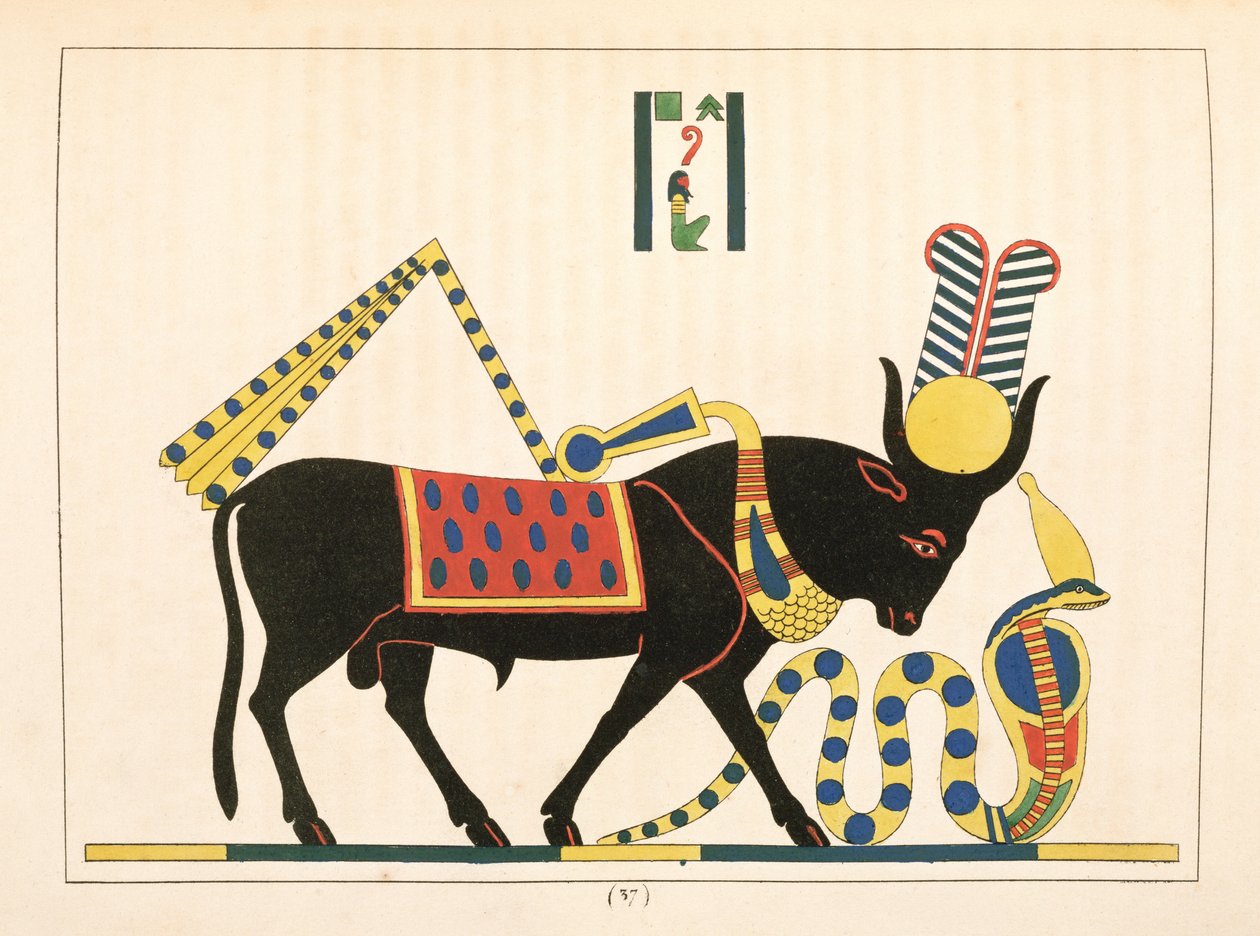 Der Apis-Stier, Illustration aus Pantheon egyptien: Sammlung der mythologischen Figuren des Alten Ägypten von Jean-Francois Champollion, veröffentlicht 1823-25 von Leon Jean Joseph Dubois