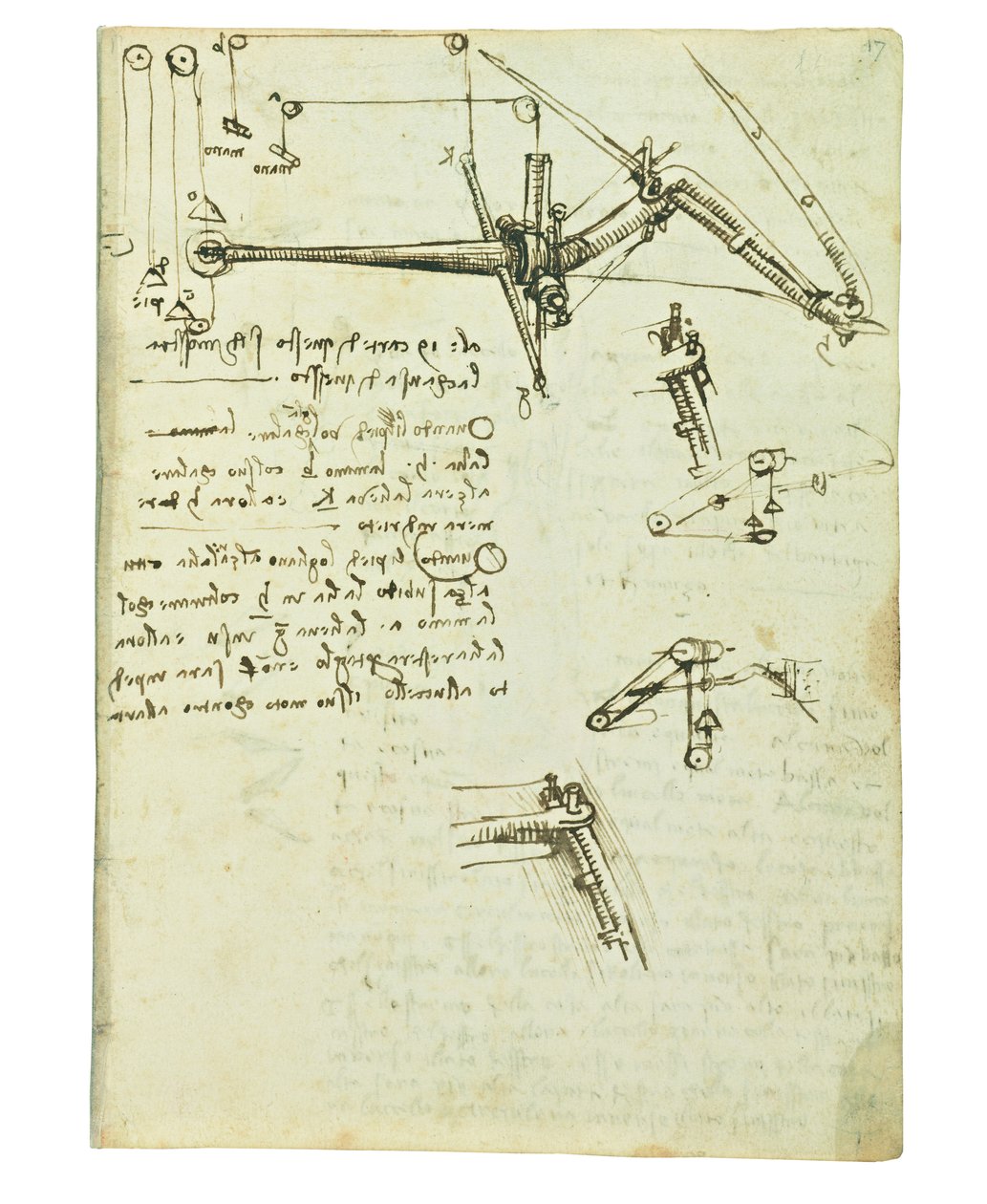 Codex über den Vogelflug, Folio 17 recto von Leonardo da Vinci