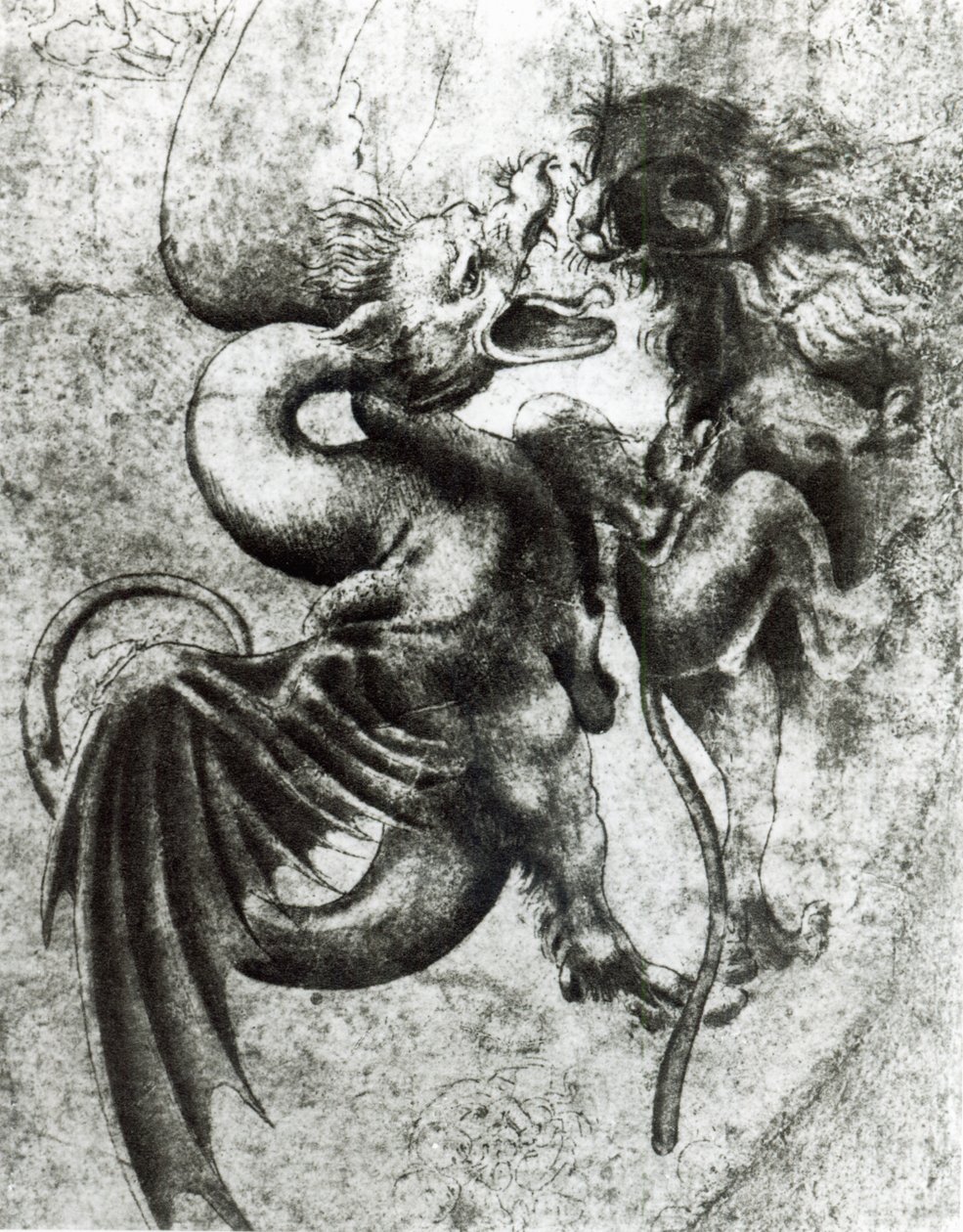 Kampf zwischen einem Drachen und einem Löwen von Leonardo da Vinci