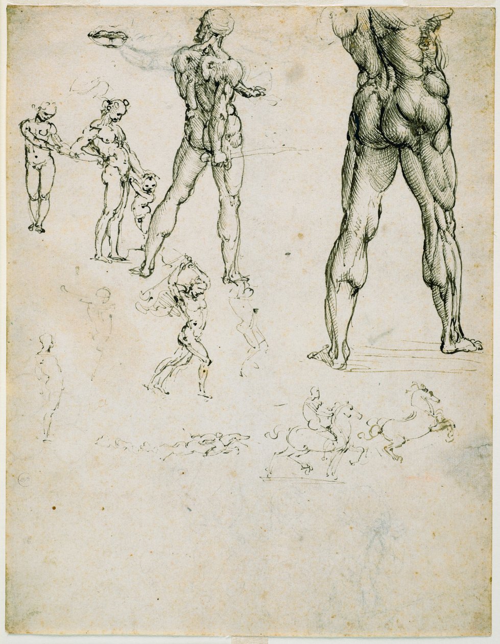Nudi, für die „Schlacht von Anghiari“ und andere Figurenstudien, ca. 1505 von Leonardo da Vinci
