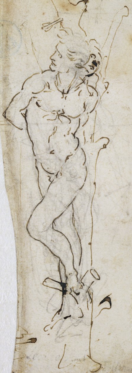 Studie des Hl. Sebastian, 1480-81 von Leonardo da Vinci