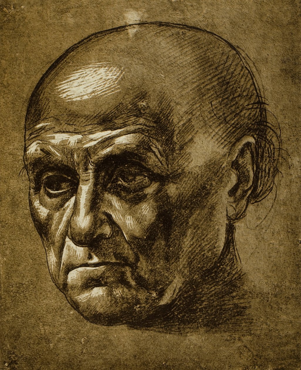 Studie eines männlichen Gesichts von Leonardo da Vinci