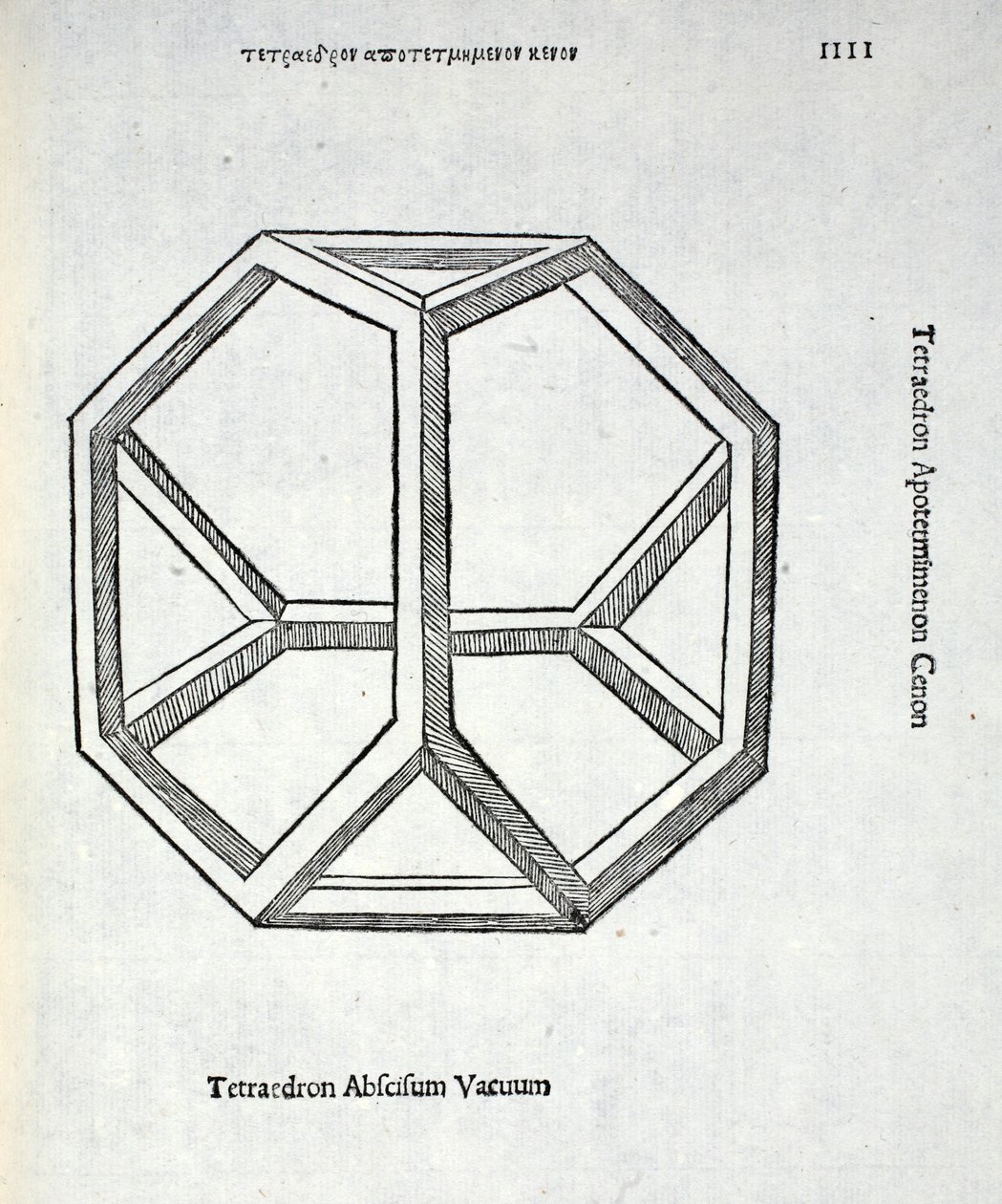 Tetraedron abscisum vacuum, Illustration aus 