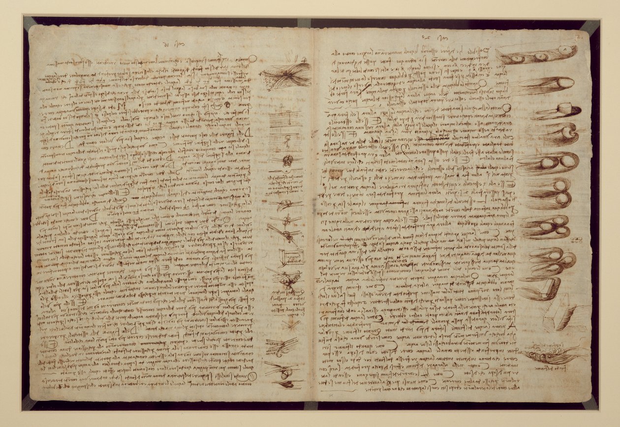 Eine Seite aus dem Codex Leicester, 1508-12 von Leonardo da Vinci