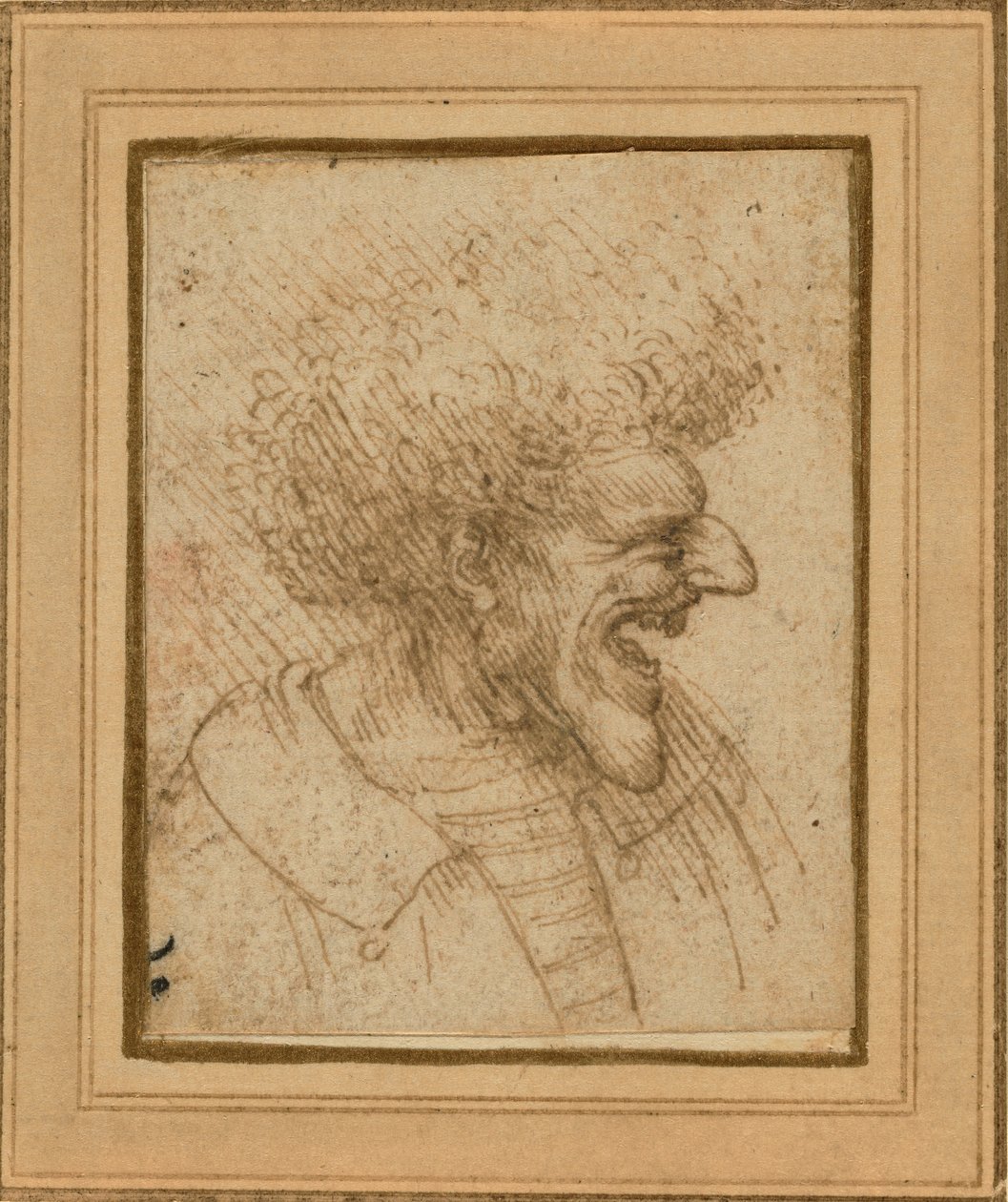 Karikatur eines Mannes mit buschigem Haar von Leonardo da Vinci