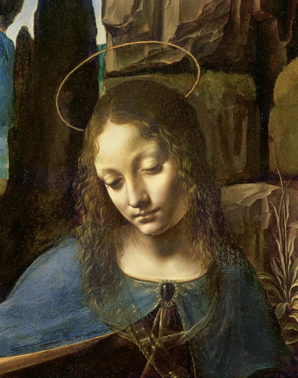 Detail des Kopfes der Jungfrau, aus Die Jungfrau der Felsen (Die Jungfrau mit dem Kindlichen Johannes, der das Kindliche Christus anbetet, begleitet von einem Engel), ca. 1508 von Leonardo da Vinci