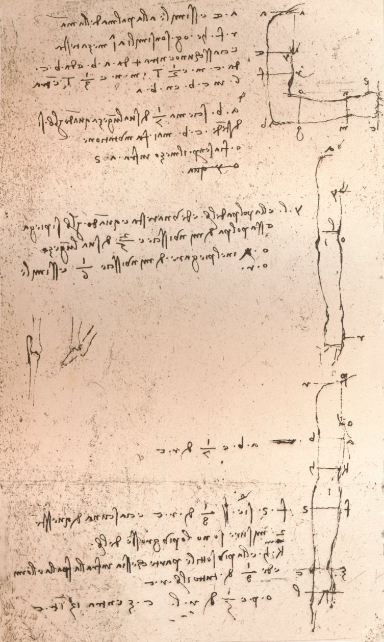 Zeichnung zur Theorie der Proportionen der menschlichen Figur, ca. 1472-1519, 1883 von Leonardo da Vinci