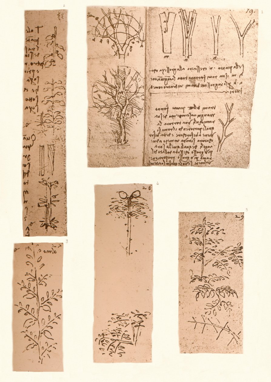 Fünf Zeichnungen zur Landschaftsmalerei von Leonardo da Vinci