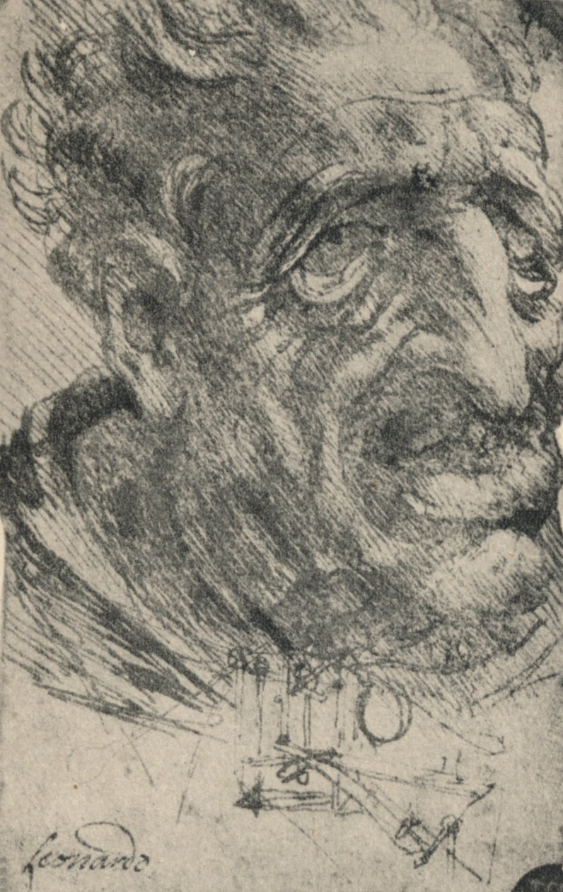 Grotesker Kopf eines Mannes, drei Viertel nach rechts gedreht, um 1480 1945 von Leonardo da Vinci