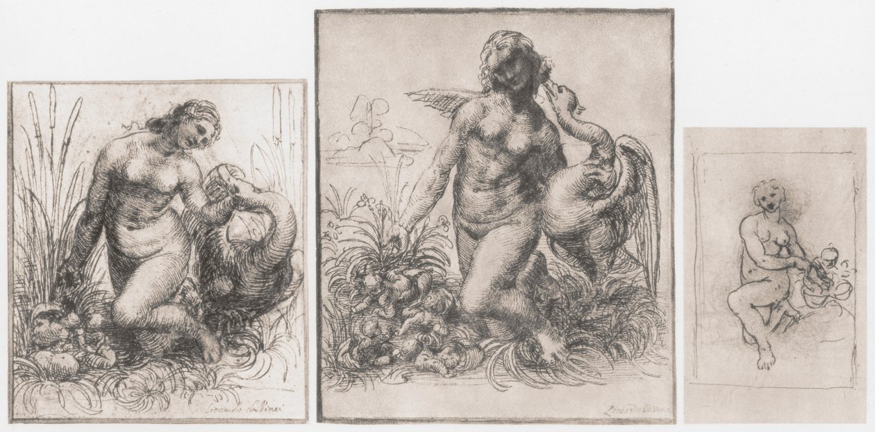 Leda und der Schwan, um 1504-1506 von Leonardo da Vinci