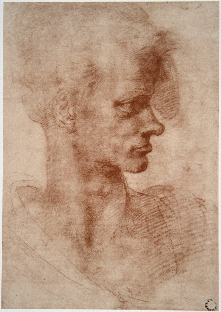 Karikaturporträt eines jungen Mannes von Leonardo da Vinci