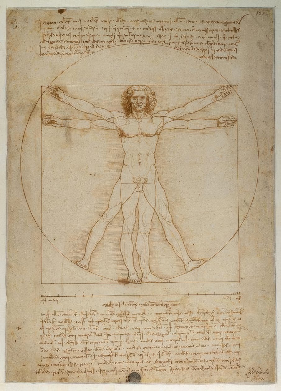 Proportionsschema der menschlichen Gestalt nach Vitruv von Leonardo da Vinci