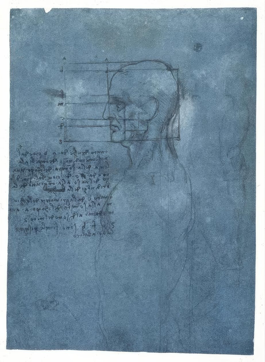 Proportionsstudie eines männlichen Kopfes im Profil von Leonardo da Vinci