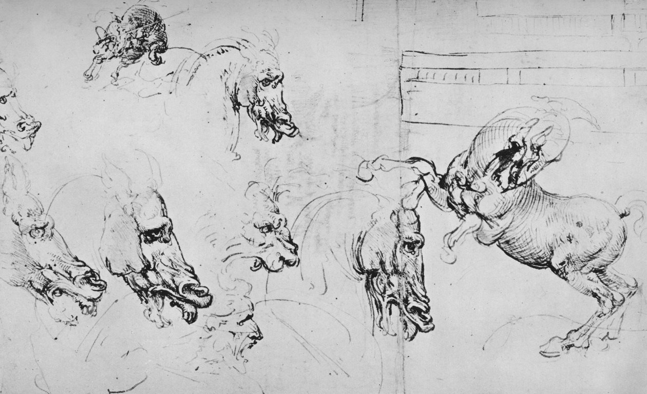 Studien von Pferdeköpfen und einem steigenden Pferd, ca. 1480-1945 von Leonardo da Vinci