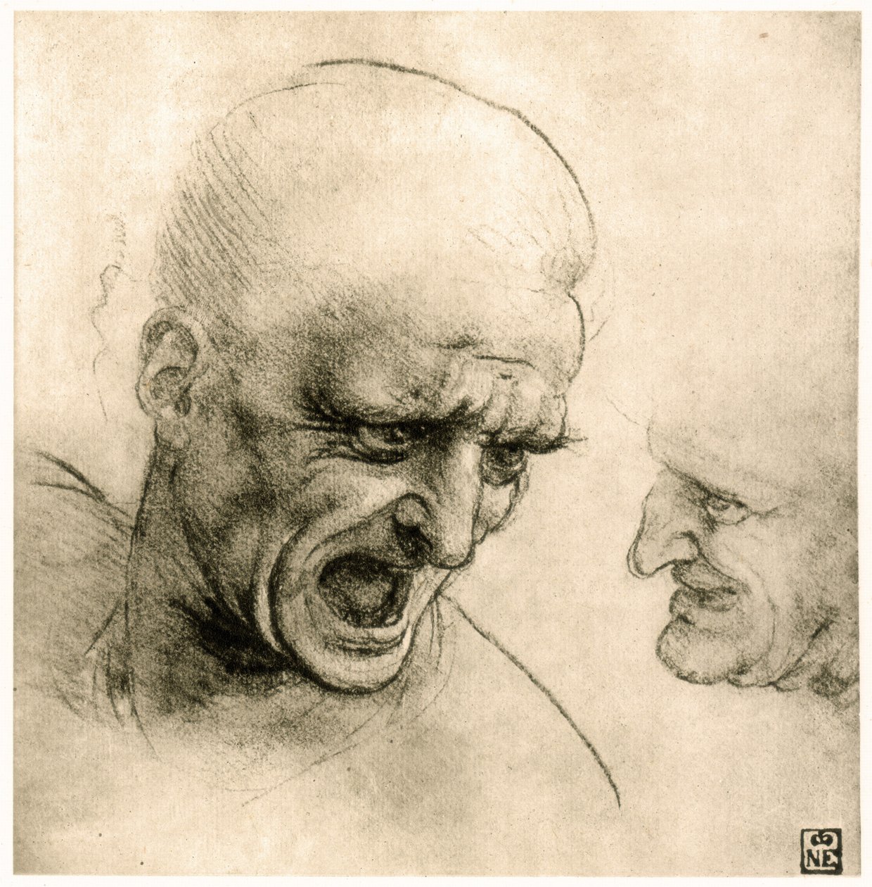 Studie für den Kopf eines Kriegers von Leonardo da Vinci