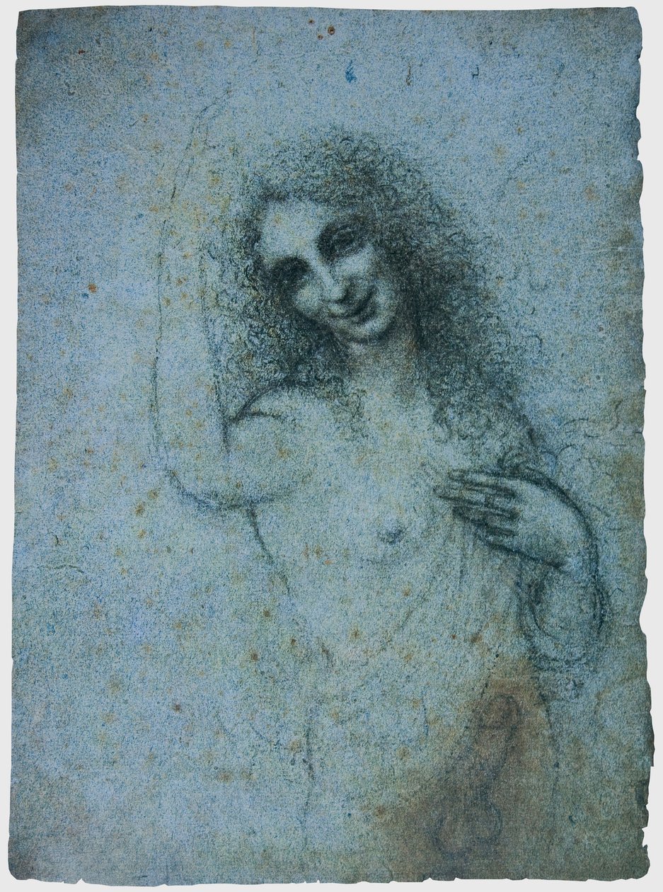 Der Engel im Fleisch, ca. 1514 von Leonardo da Vinci