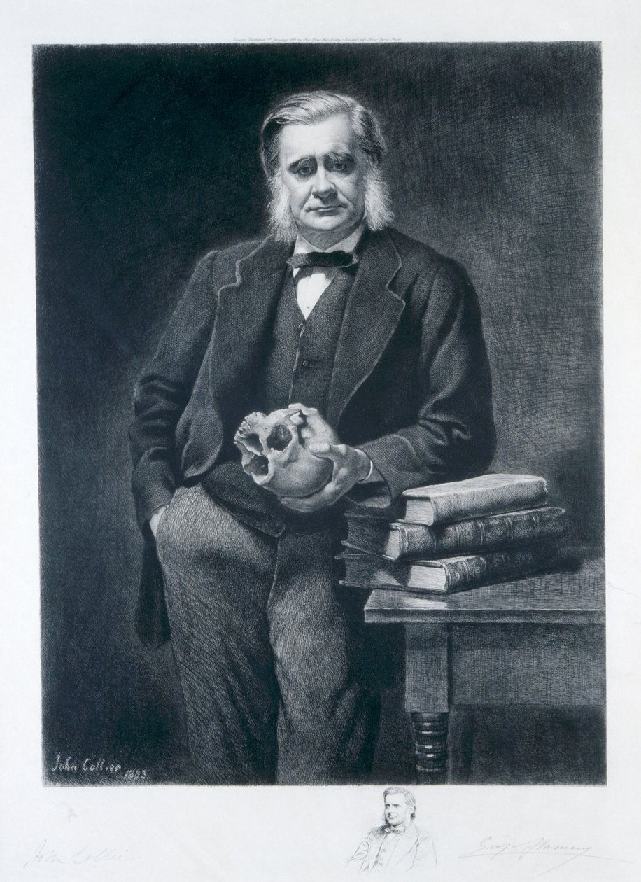 Thomas Henry Huxley, 1893 von Leopold Flameng