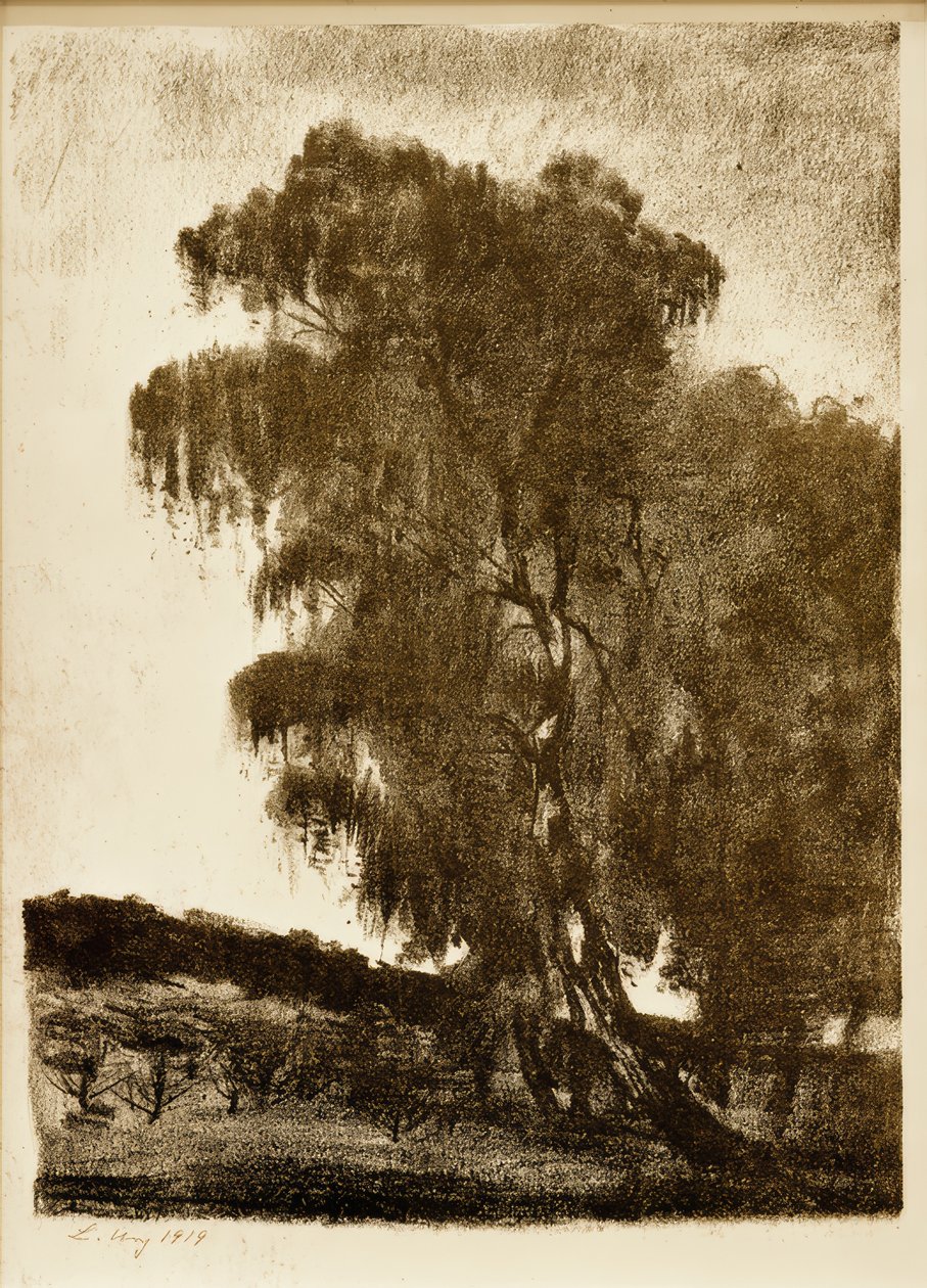 Birken von Lesser Ury