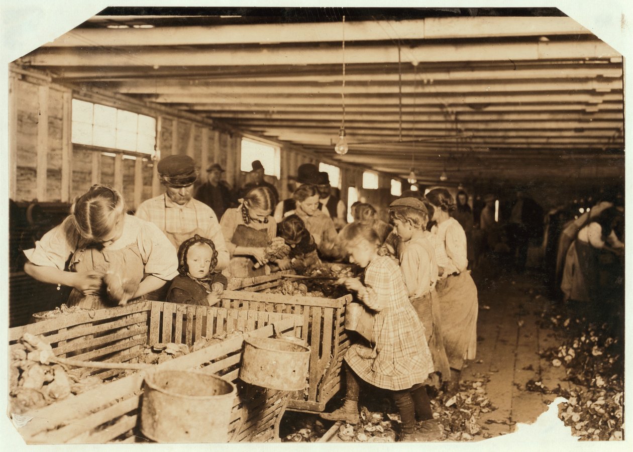 Rosy, 8 Jahre alt, arbeitet 14 Stunden am Tag als Austernöffnerin in der Dunbar Cannery, Louisiana, 1911 von Lewis Wickes Hine