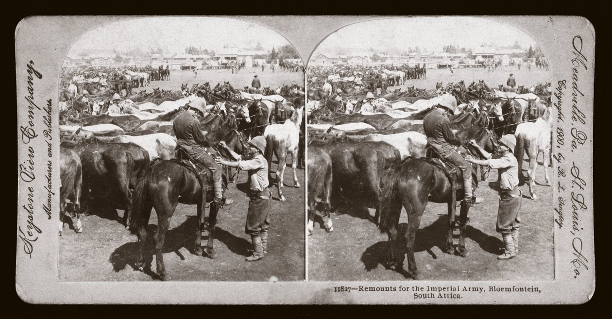 Burenkrieg (Südafrika) von Unbekannt Unbekannt