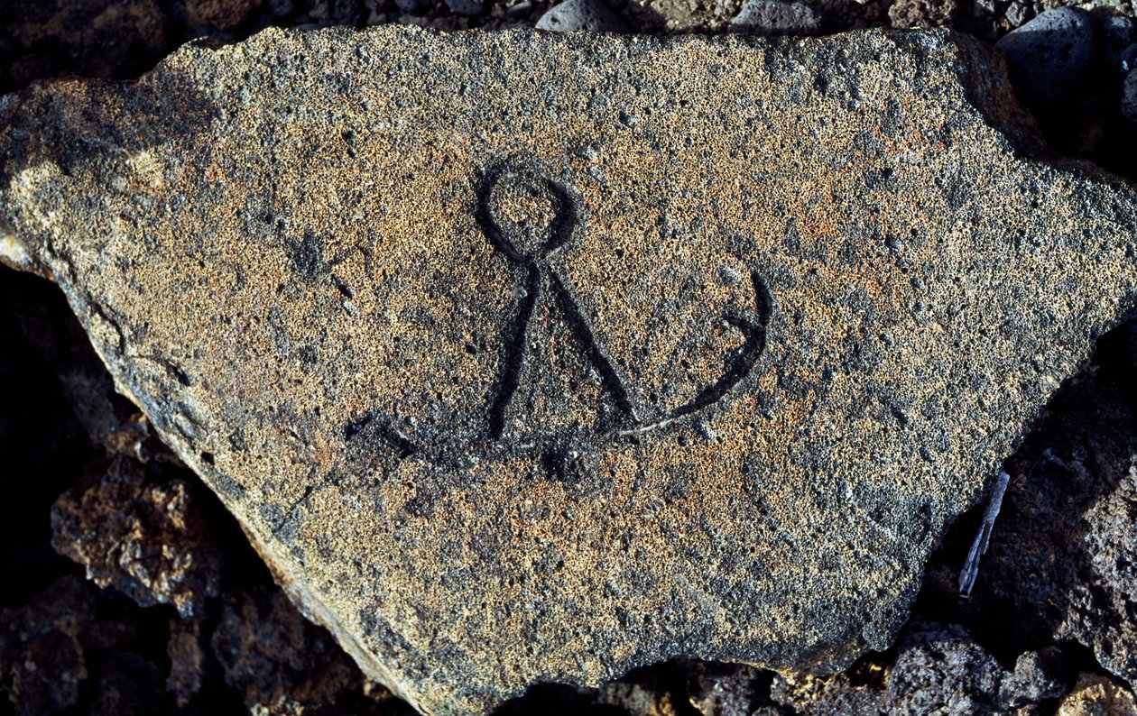 Steingravur, Puako Petroglyph Archaeological District, Hawaii, USA von Unbekannt Unbekannt