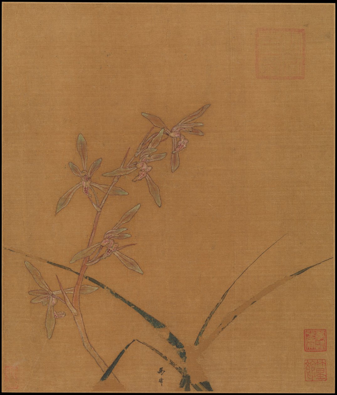 Orchideen, zweites Viertel des 13. Jahrhunderts von Lin Ma