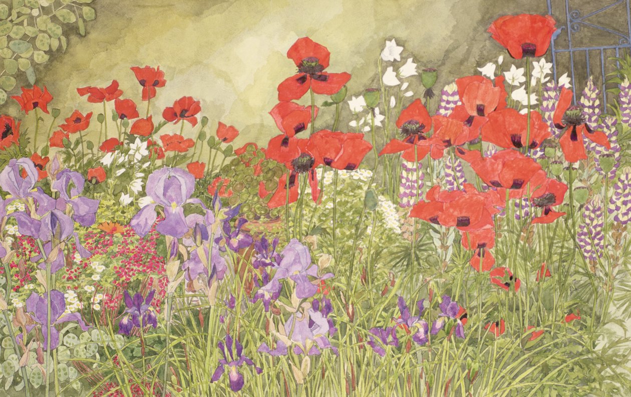 Mohnblumen und Schwertlilien von Linda Benton