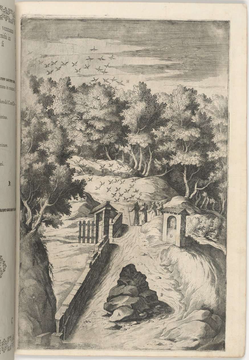Die Begrüßung der Vögel (Il Saluto degli uccelli) [Tafel C] von Lino Moroni