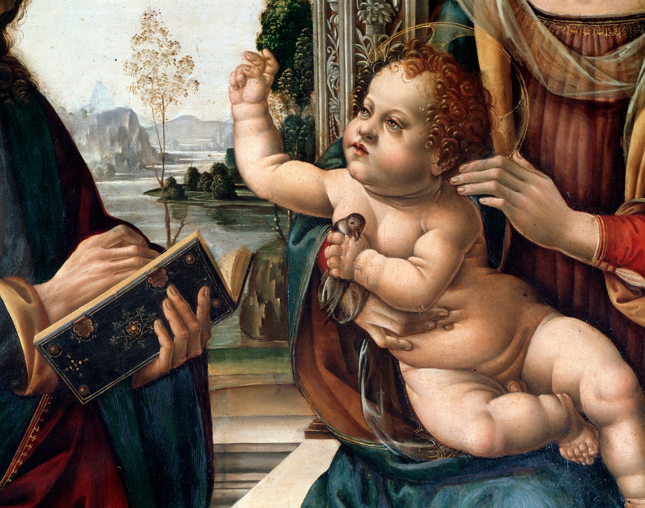 Jungfrau mit Kind und zwei Heiligen, St. Matthäus und St. Hieronymus (Detail) Gemälde von Lorenzo di Credi (1459-1537) Florenz, Kirche Santo Spirito, Italien von Lorenzo di Credi