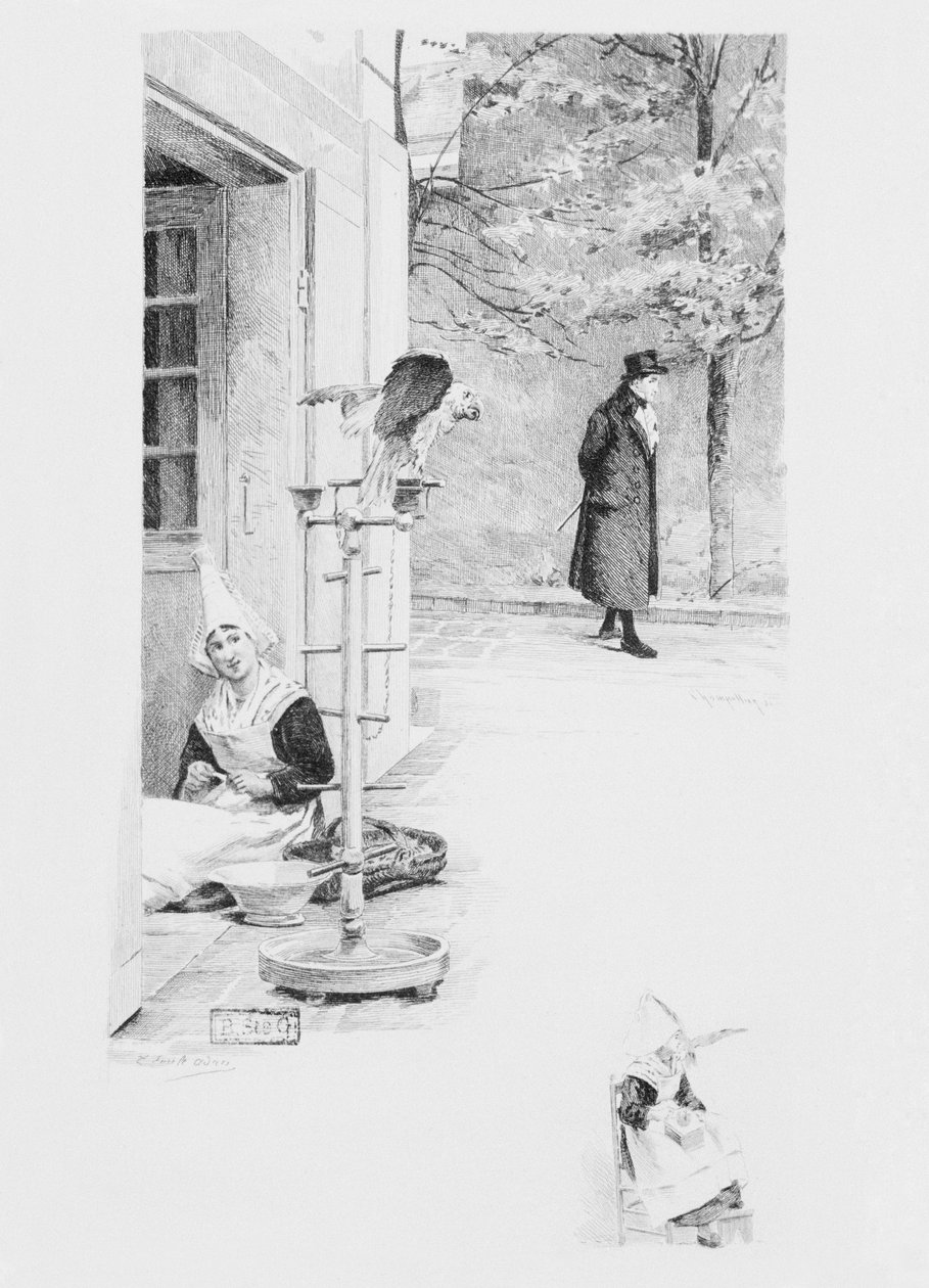 Die Dienerin Felicite und der Papagei Loulou, Illustration aus 