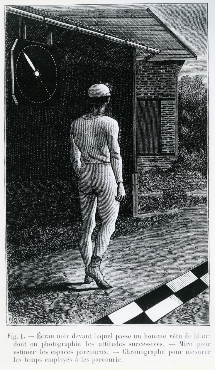 Illustration aus 