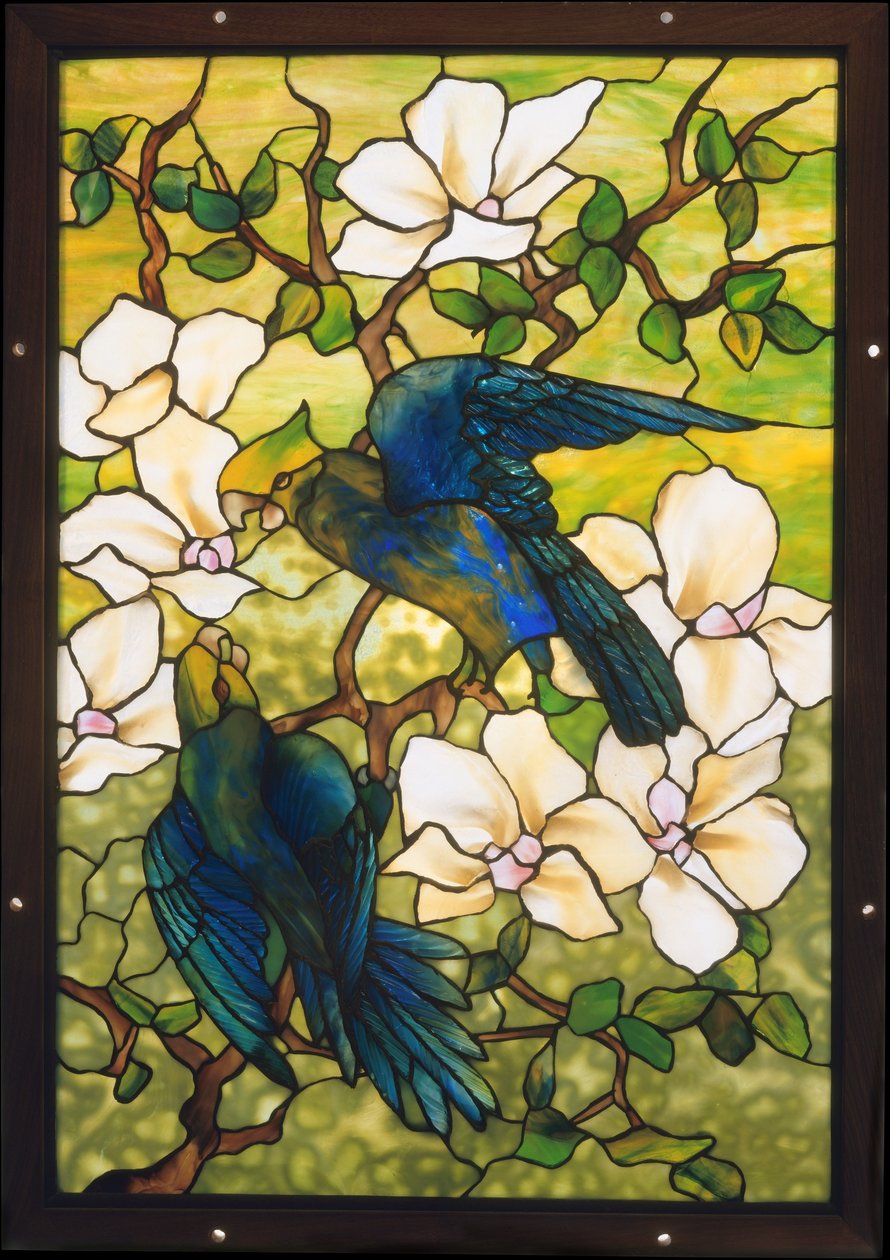 Hibiskus und Papageien, ca. 1910-20 von Louis Comfort Tiffany
