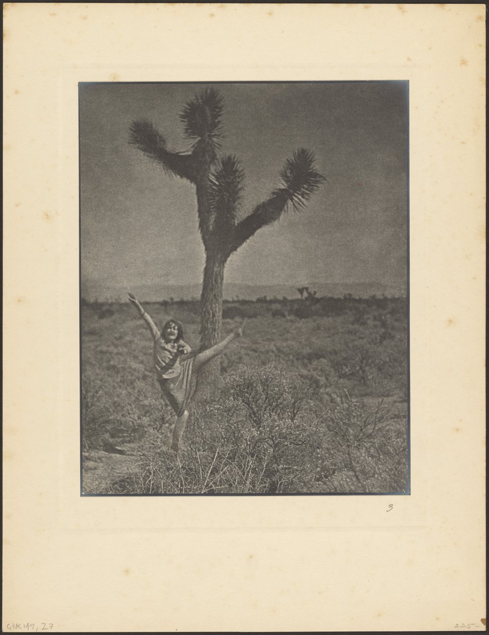 Tänzer bei Joshua Tree von Louis Fleckenstein