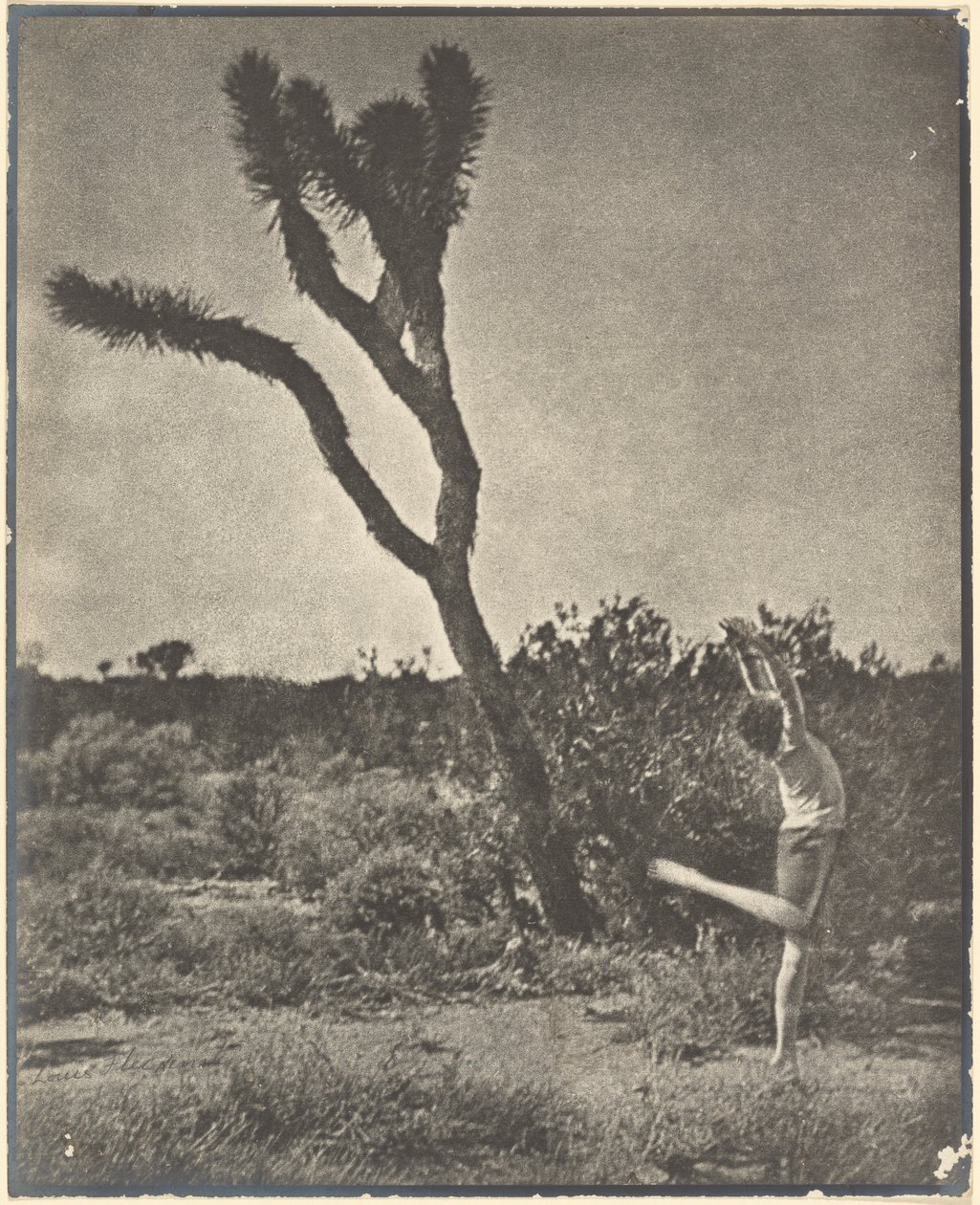 [Tänzerin am Joshua Tree] von Louis Fleckenstein