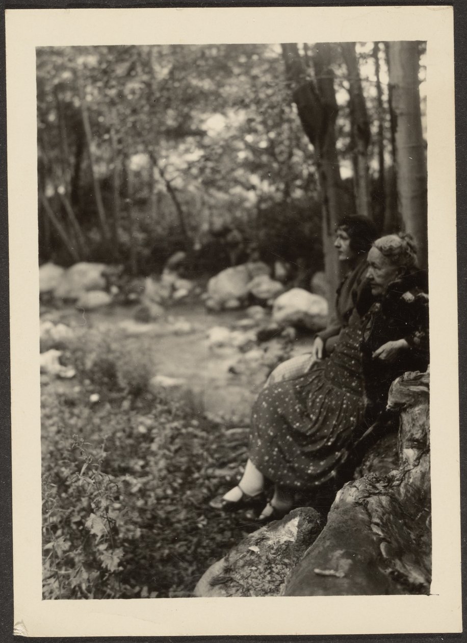 [Florence und Frau Fleckenstein am Waldbach] von Louis Fleckenstein