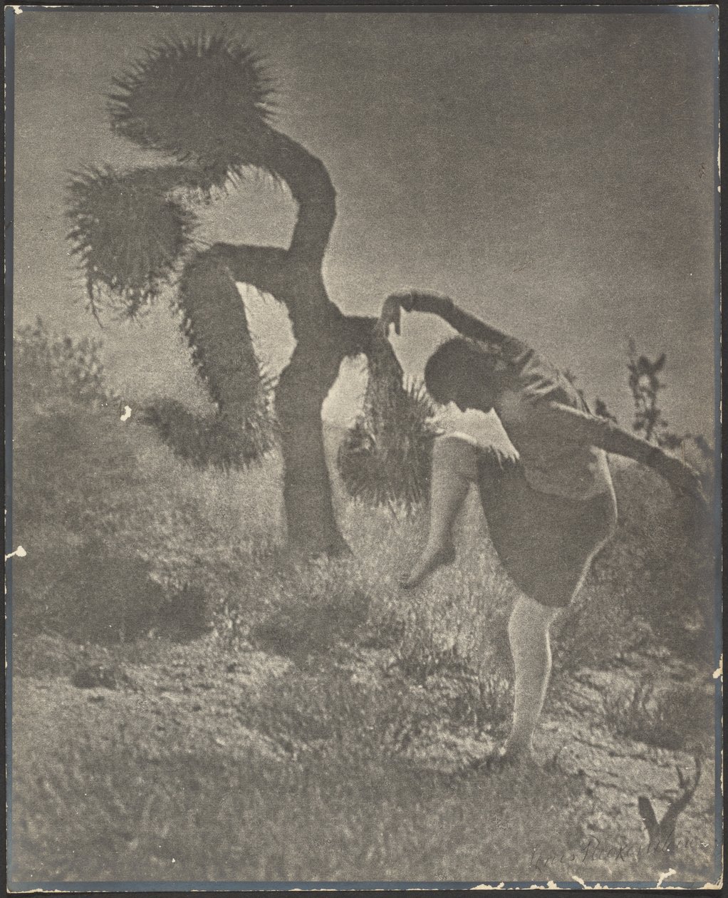 Der tölpelhafte Joshua von Louis Fleckenstein
