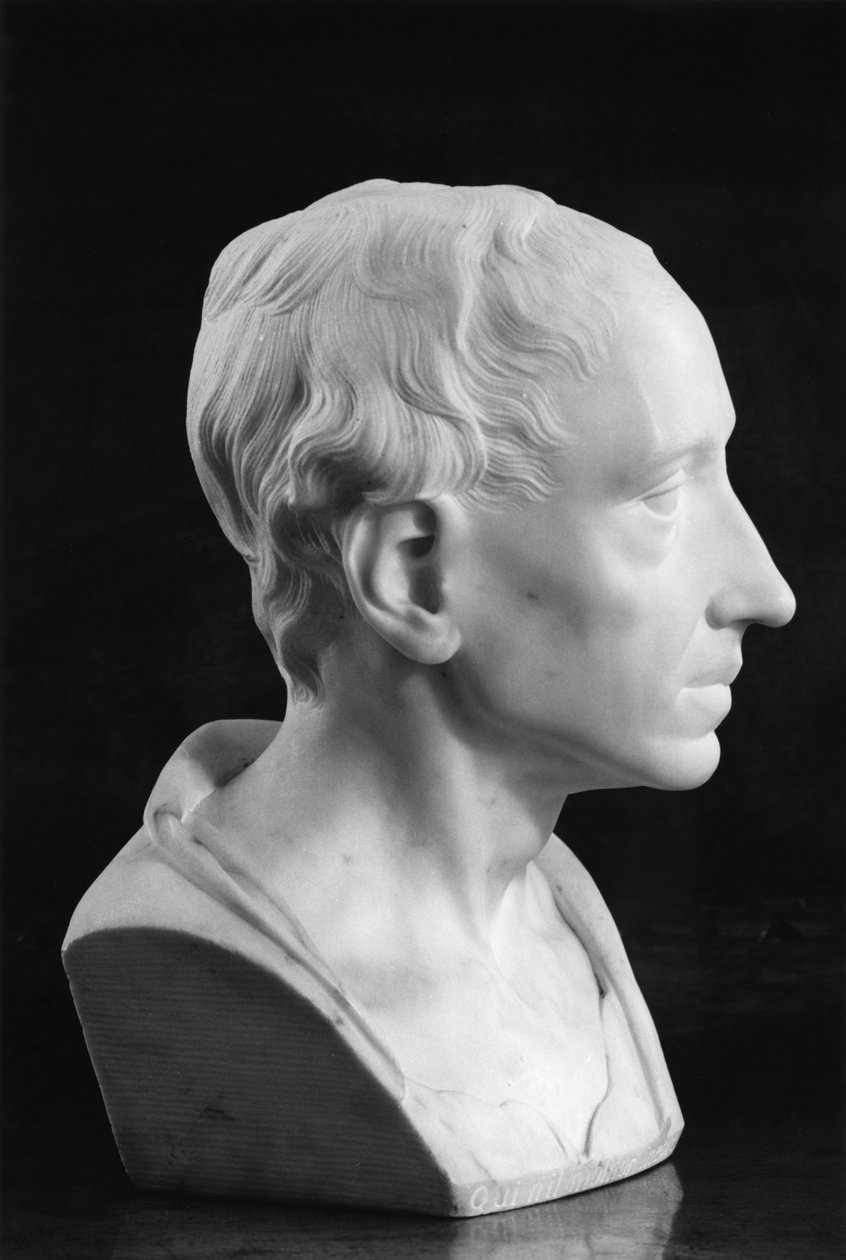 Büste von Alexander Pope von Louis Francois Roubillac
