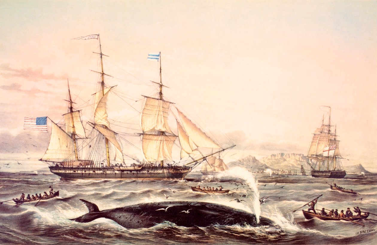 Walfang vor dem Kap der Guten Hoffnung von Louis Le Breton
