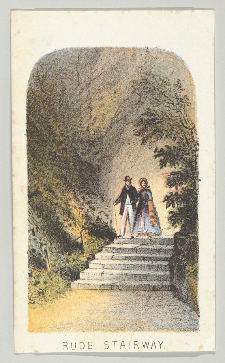 Rude Treppe, aus der Serie, Ansichten im Central Park, New York, Teil 2, 1864 von Louis Prang