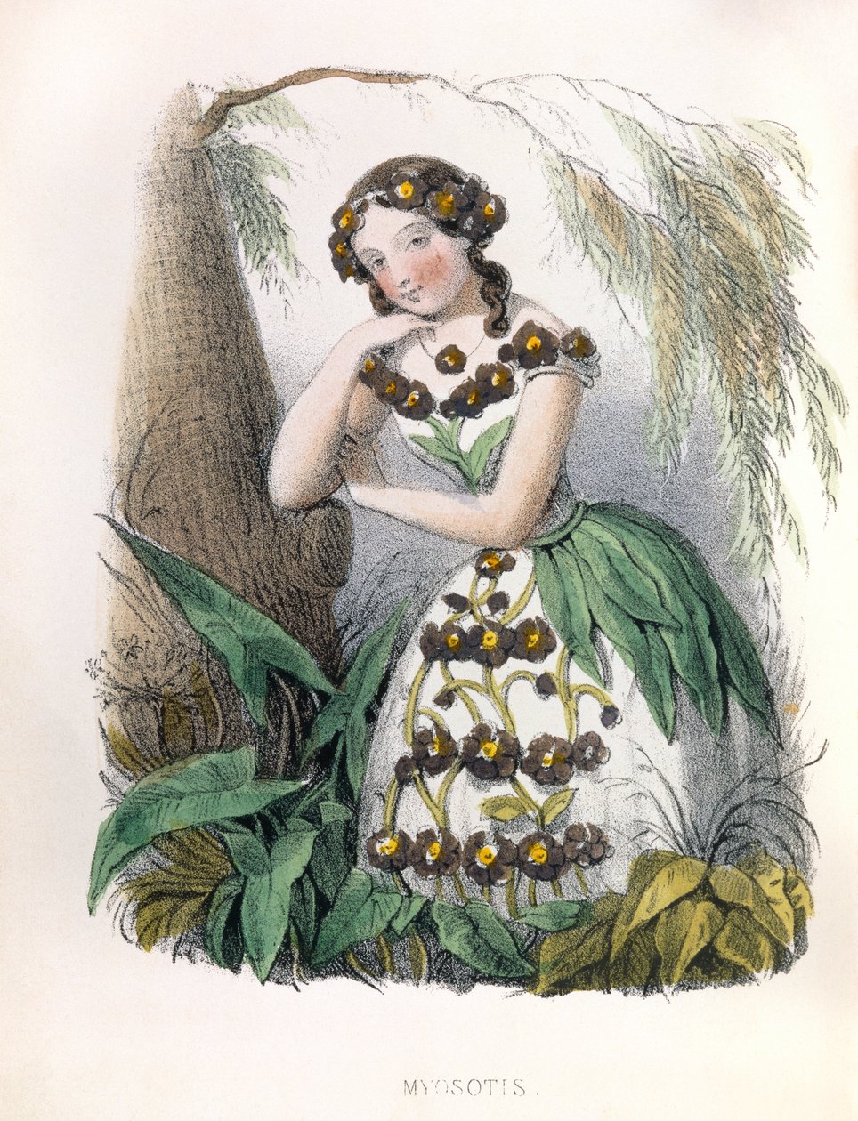 Allegorie, das Vergissmeinnicht von Louis Simon (1810-1870) Lassalle