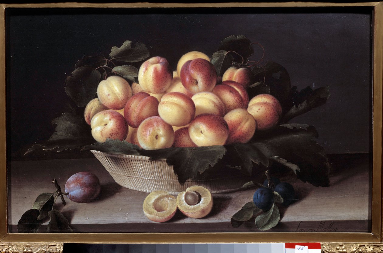 Stillleben mit Aprikosen. Korb mit Aprikosen und Pflaumen im Vordergrund von Louise Moillon