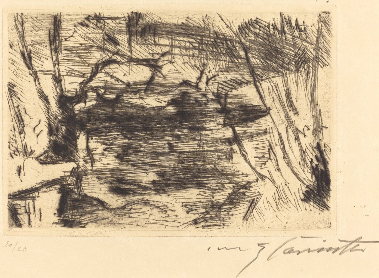 Der Neue See, 19201921 von Lovis