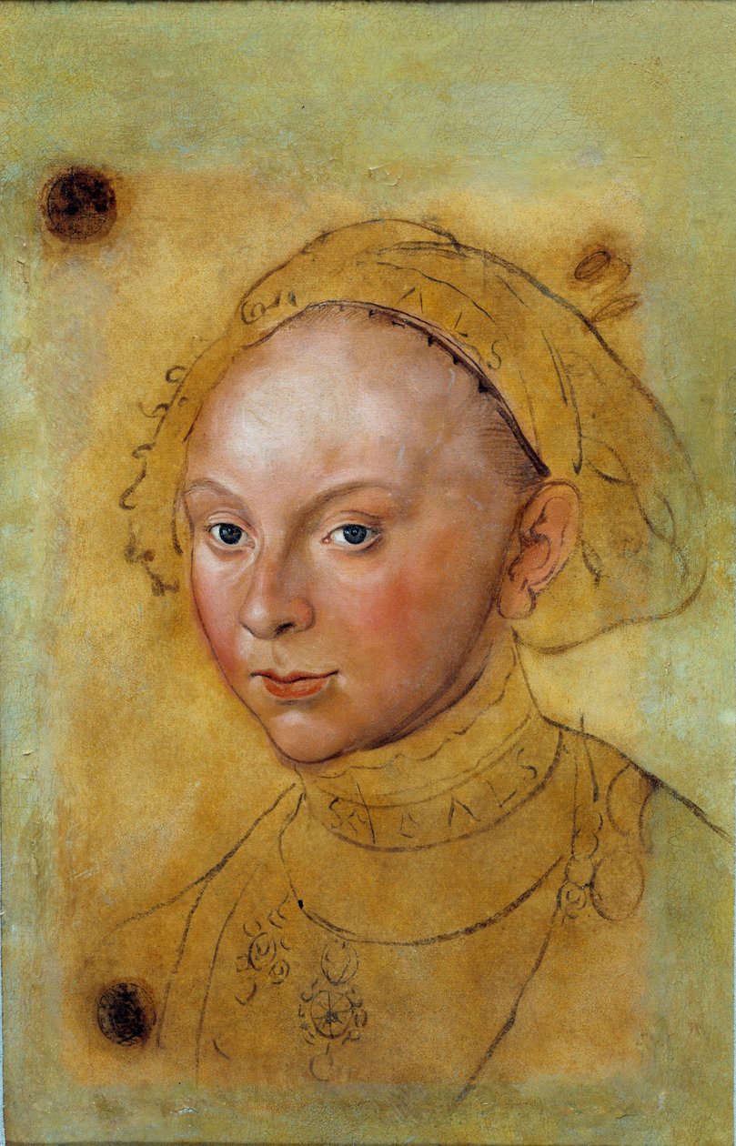 Porträt von Katharina von Braunschweig-Grubenhagen von Lucas the Elder Cranach
