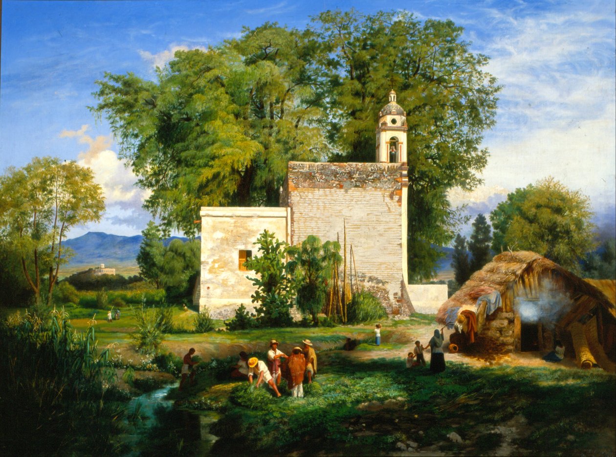 Landschaft von San Cristóbal Romita von Luis Coto