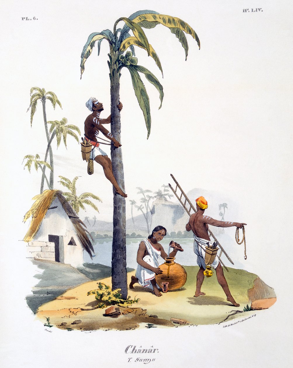 Ein Mann der Nadar-Kaste klettert auf eine Palme, 1827-35 von M.E. Burnouf